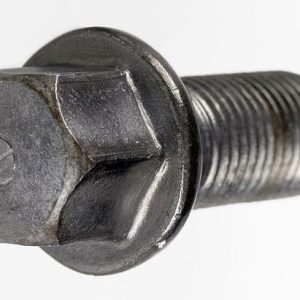 রুফিং অটো স্ক্রু ২" (২০০ পিস)